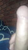 I showed my tail with a lot of semen, you want to see it snapshot 1