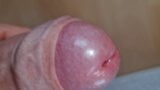 Crowned Glans with uncut Foreskin Cumshot close-up snapshot 6