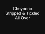 Cheyenne stripped and tickled all over snapshot 1