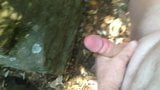 Wanking at the nudist beach in the bushes snapshot 4