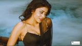 Shriya Saran – ekspresi panas dalam saree hitam snapshot 9