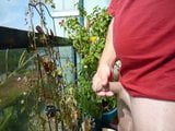 Masturbation on the balcony snapshot 2