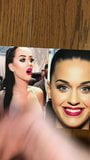 Tribute Katy Perry snapshot 2