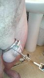 leashed in Chastity snapshot 3