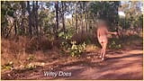 Wifey films herself fully nude on a public exhibitionists dream hike snapshot 3