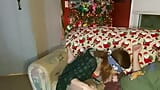Babyybut gets a tricked into a surprise Christmas present from her step bro blindfolded. snapshot 9
