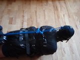 Hogtied in straightjacket snapshot 2