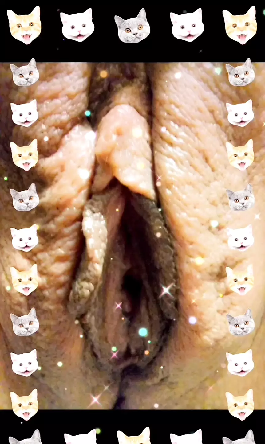 Pussy Screenshots