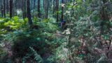 Orang asing mengongkek saya di dalam hutan apabila saya terkencing. sweetie_lilu video lucah buatan sendiri snapshot 6