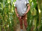 wanking in the corn field snapshot 10