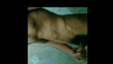 Kumaebhupendra-ホットでセクシーなビデオ面白い snapshot 4
