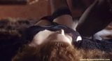 Erotic Movies2 snapshot 1