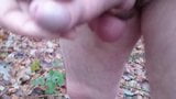 Mear y semen al aire libre snapshot 1