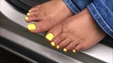 Jazzman Neal Yellow Toes snapshot 9