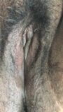 भारतीय चाची सोनिया चेची बड़े बालों वाली चूत snapshot 2