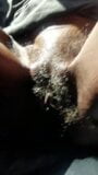Cespuglio nero peloso di 77 anni snapshot 1