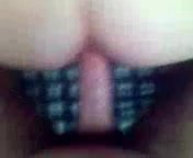 Elegante ragazza gallese