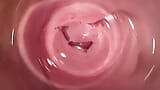 Самое горячее раздвигание киски и внутренняя камера в сливочной вагине Мии snapshot 13
