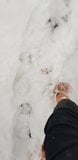 Barfuss im Schnee snapshot 1