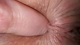 Close up ass fingering and dirty talk, anal masturbation orgasm snapshot 2