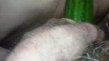 Cucumber fucking mature bbw ! snapshot 3