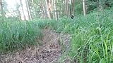 Outdoor-nackter Spaziergang beginnt durch Wald und Felder snapshot 14