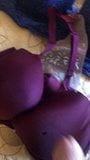 Jerking off with the other half of wifes bras and panties snapshot 2