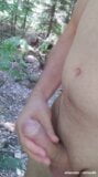 piss and cum in woods snapshot 7