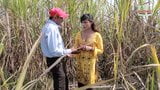 Ganne ke Khet Mein Romantic Love  Full Gandi Gandi Harkatei snapshot 1