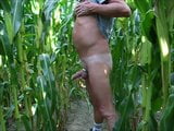 wanking in the corn field snapshot 6