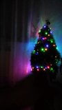 My christmas tree snapshot 5