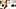 तोरी ब्लैक + एरिक एवरहार्ड में एक महान दृश्य, चेहरे का वीर्य निकालना, हर जगह कमबख्त टीज़र#3
