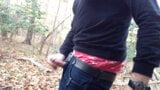 Öffentliches Wichsen im Wald, Hängen, wichsen und kommen. Ich wichse im Wald und komm in meine Jeans snapshot 1