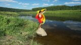 Gli appassionati di colore sul masso nel fiume Volga snapshot 5