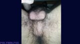 Hairy Balls and Asshole. Please fuck it. snapshot 10