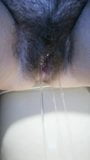 Hairy wife pussy pissing snapshot 2