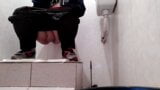 Hot milf pissing in public toilet snapshot 7