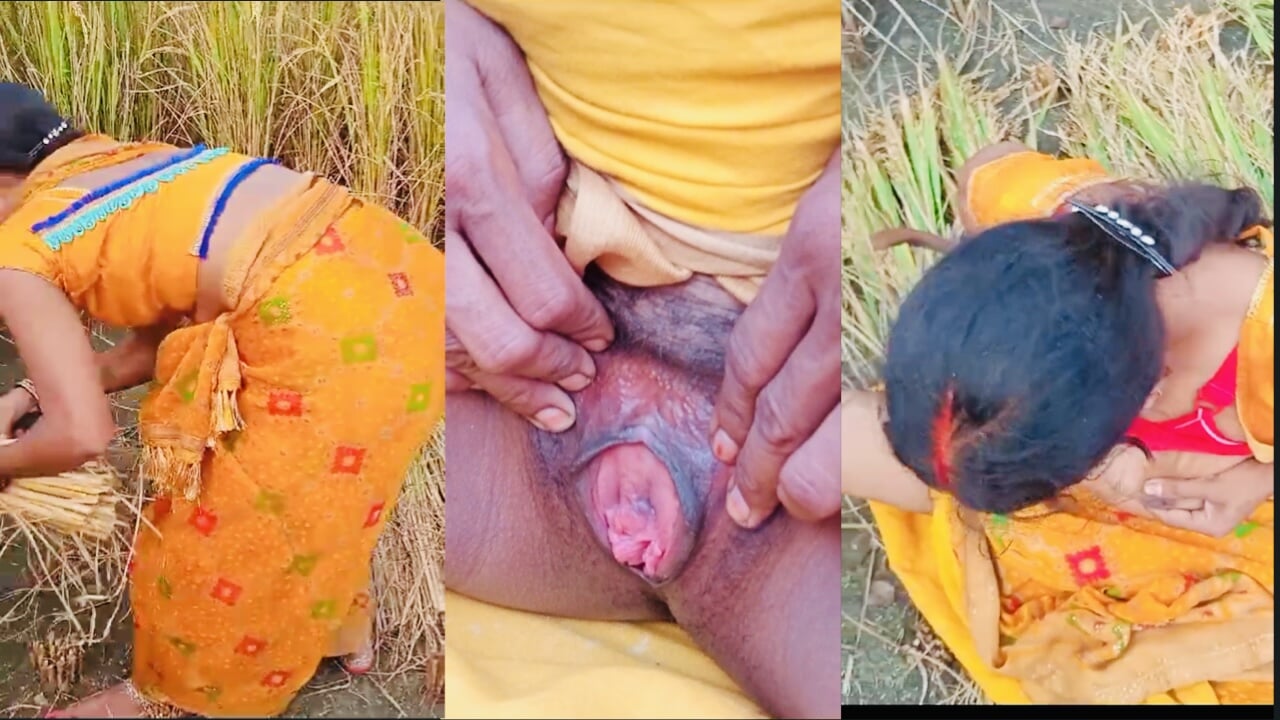 Desi bhabhi ki khet mein chudai