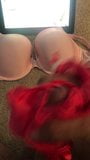 Jerking off in co workers bra panties and lingerie snapshot 2