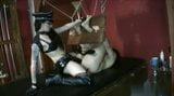 Strapon mistress and bound slave snapshot 3