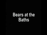 Bears in bath snapshot 1