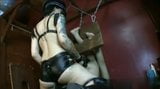 Strapon mistress and bound slave snapshot 5