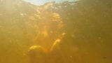 Sous l eau snapshot 1