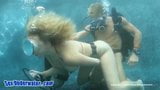 Underwater brooke wyld scuba solution snapshot 17