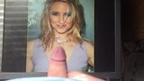 Dianna Agron hommage 02 snapshot 3