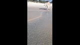 Pissen in een witte bikini op het strand snapshot 8