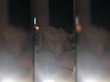 Cuck manlief neemt op vanuit deuropening hete vrouw met haar neukmaatje snapshot 7