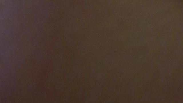 Secretly Recorded Video Camera