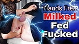 Mjölkar min slav - femdom anal spermasprut, förstörd orgasm, prostata knullmaskin, sperma sväljer slav, riktig hemlagad video, amatörpar snapshot 1