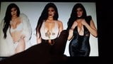 Kylie Jenner Quickie Tribute snapshot 5